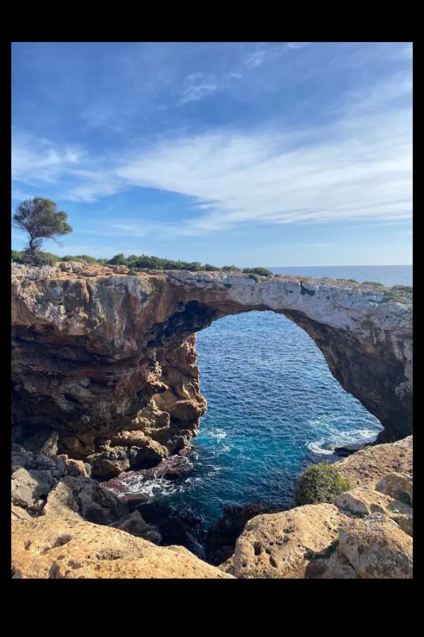 Guerrero Pet Friendly A 500 Metros De La Playa! * Calas de Mallorca